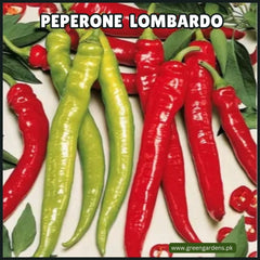 Peperone Lombardo Seeds (Italian)