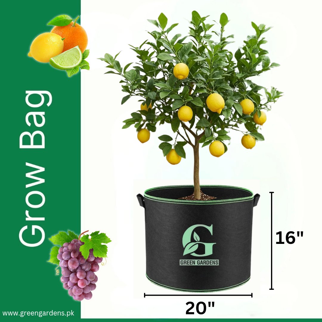 Grow Bag BLACK - 20" x 16"
Four Handles (For Fruit Plants)