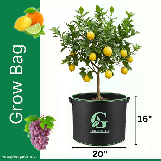 Grow Bag BLACK - 20" x 16"
Four Handles (For Fruit Plants)