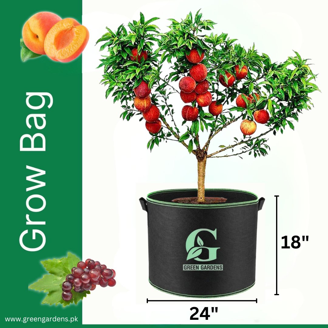 Grow Bag BLACK - 24" x 18"
Six Handles (For Fruit Plants)