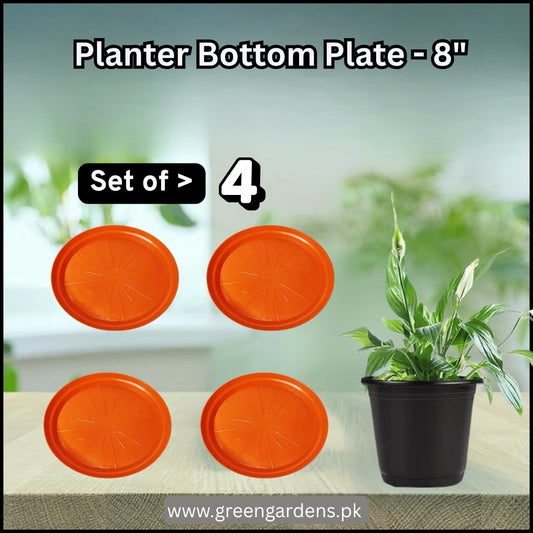 Planter Bottom Plate / Tray - 6 inch (SET OF 4)