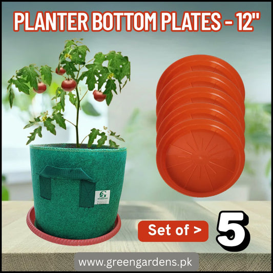 Planter Bottom Plate / Tray - 12 inch (SET OF 5)