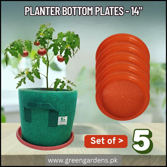 Planter Bottom Plate / Tray - 14 inch (SET OF 5)