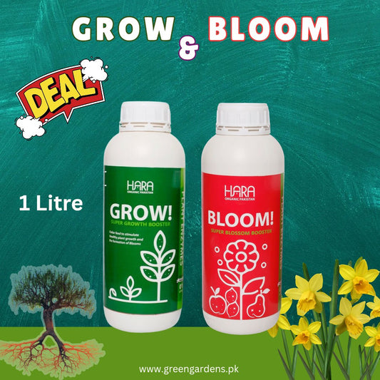 GROW & BLOOM Deal (1 Litre x 2)