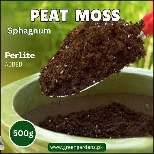 Sphagnum Peat Moss - 500g