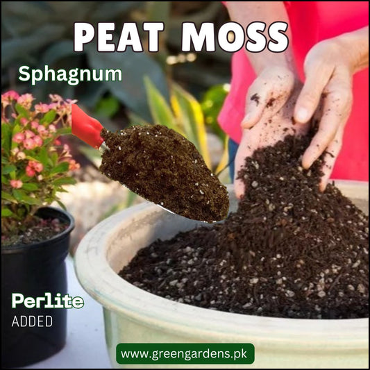 Sphagnum Peat Moss - 1 Kg