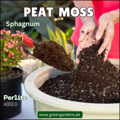 Sphagnum Peat Moss - 1Kg