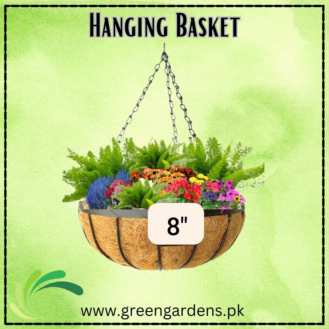 Hanging Basket, 8 inch