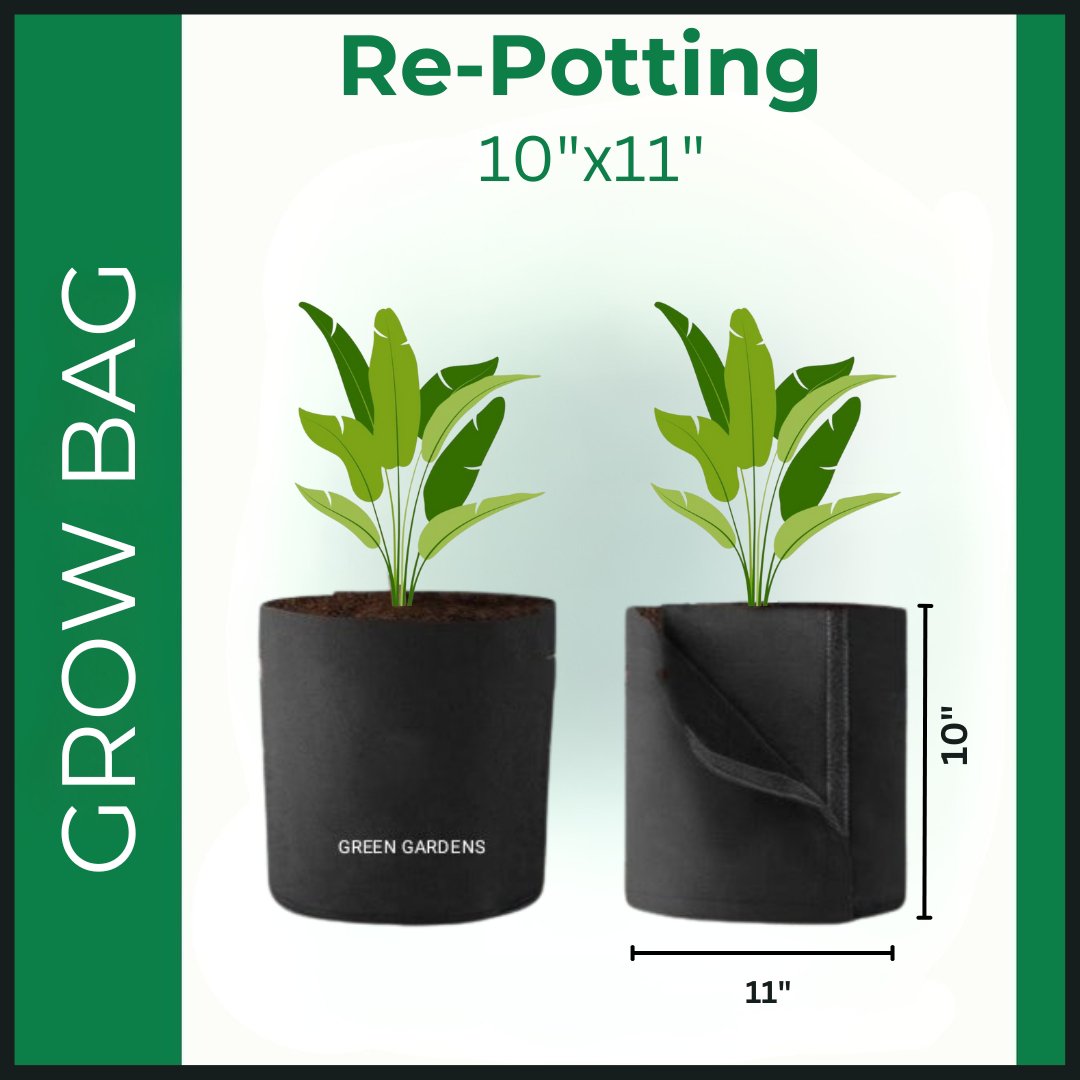 Grow Bag Re-potting - 11"x10"
(Two Handles and Velcro)