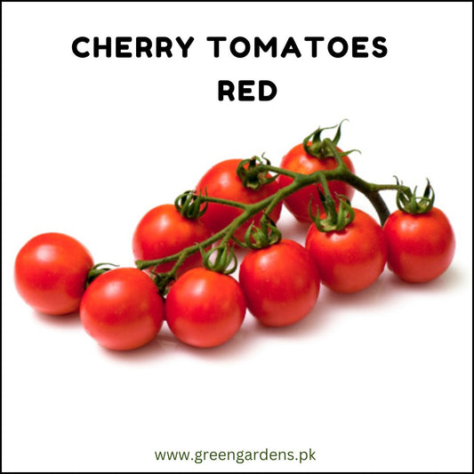 Cherry Tomato Seeds - Red (HL) {WINTER} چیری ٹماٹر لال