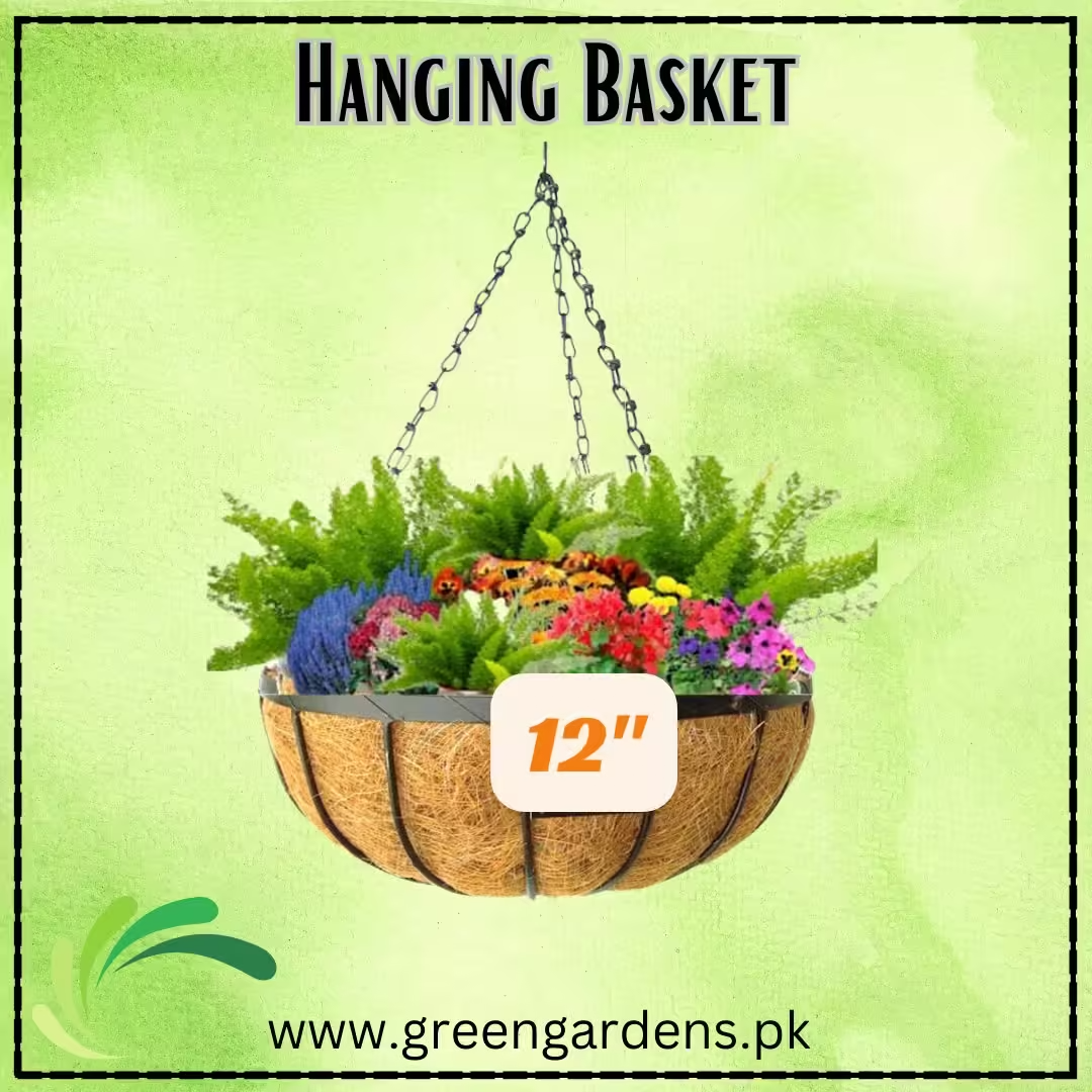 Hanging Basket, 12 inch