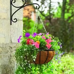 Hanging Basket, 14 inch