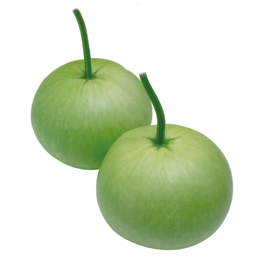 Bottle Gourd Seeds (Desi Kadu) {SUMMER} دیسی کدو گول