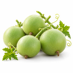 Round light-green F1 hybrid Tinda fruits growing on a healthy plant – Apple Gourd seeds for home and kitchen gardening in Pakistan