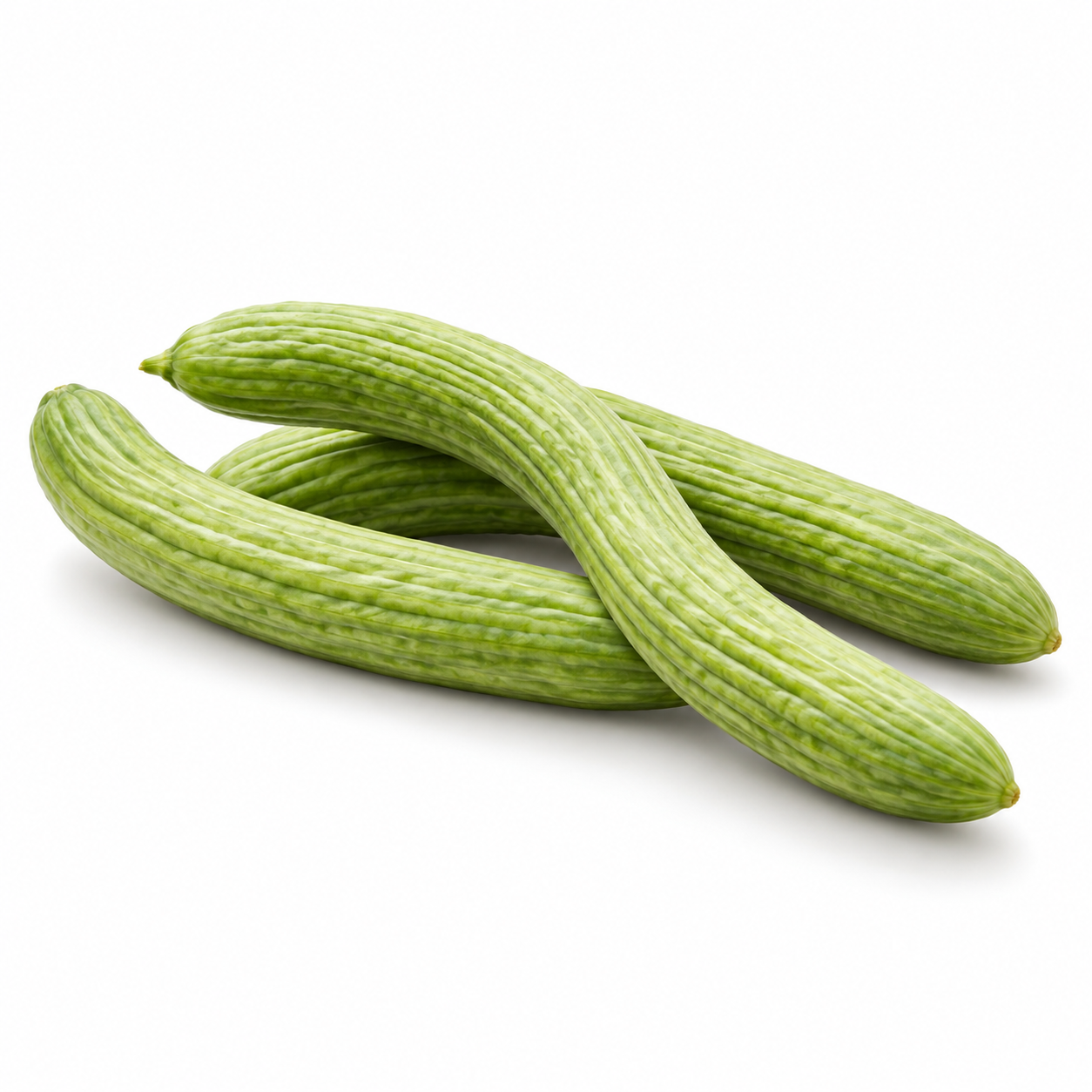 Armenian Cucumber OP Kakri Tar with long slender light-green ridged fruits growing on vigorous climbing vines – summer vegetable seeds for kitchen gardens trellises and grow bags in Pakistan