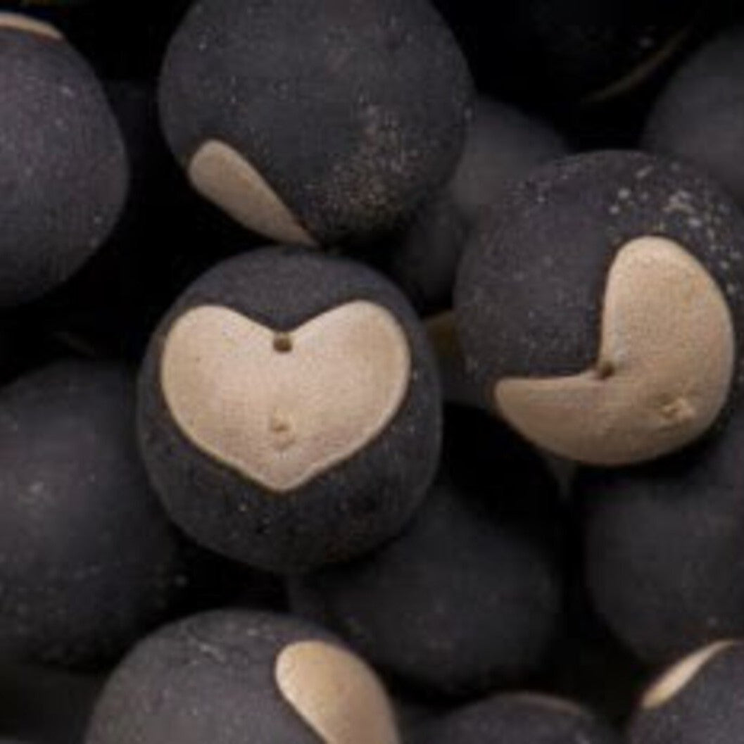 Balloon Vine Seeds (Love in a Puff)