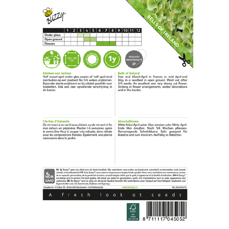 Bells of Ireland Seeds - (Moluccella Laevis) By Buzzy®
