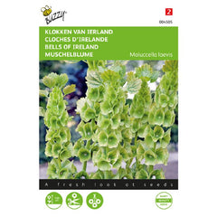 Bells of Ireland Seeds - (Moluccella Laevis) By Buzzy®