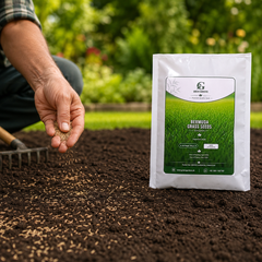 Bermuda Grass Seeds - 100 gm