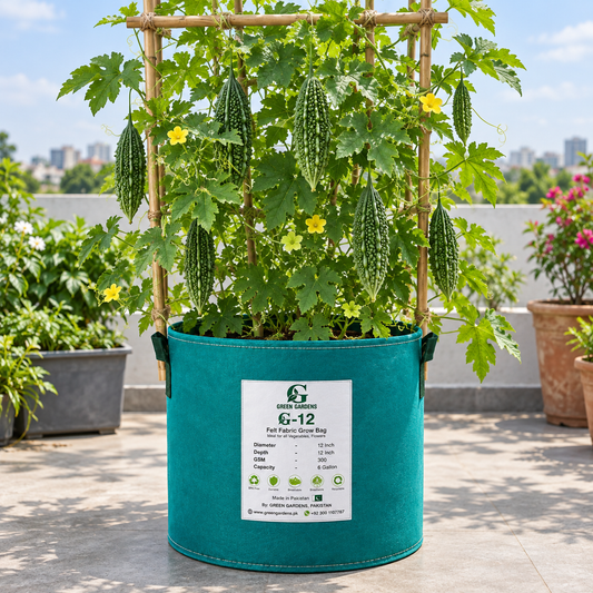Bitter Gourd Long Seeds, F1 Hybrid (SUMMER)   کریلا لمبا