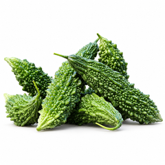 Desi Karela Bitter Gourd with fresh green elongated ridged and bumpy fruits growing on vigorous climbing vines – summer vegetable seeds for kitchen gardens trellises and grow bags in Pakistan