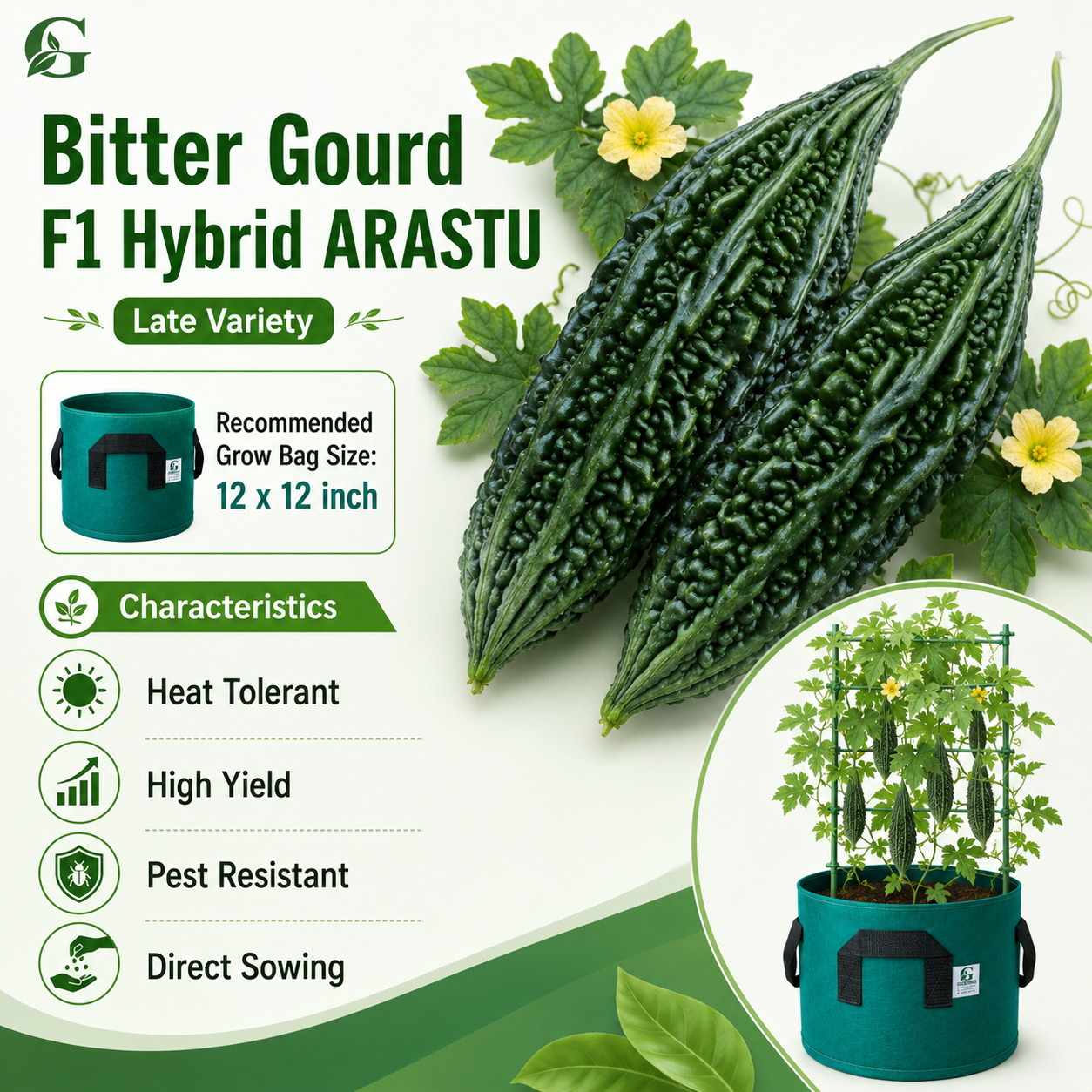 Bitter Gourd, F1 Hybrid - ARASTU (Summer Late Variety)