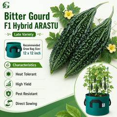 Bitter Gourd, F1 Hybrid - ARASTU (Summer Late Variety)
