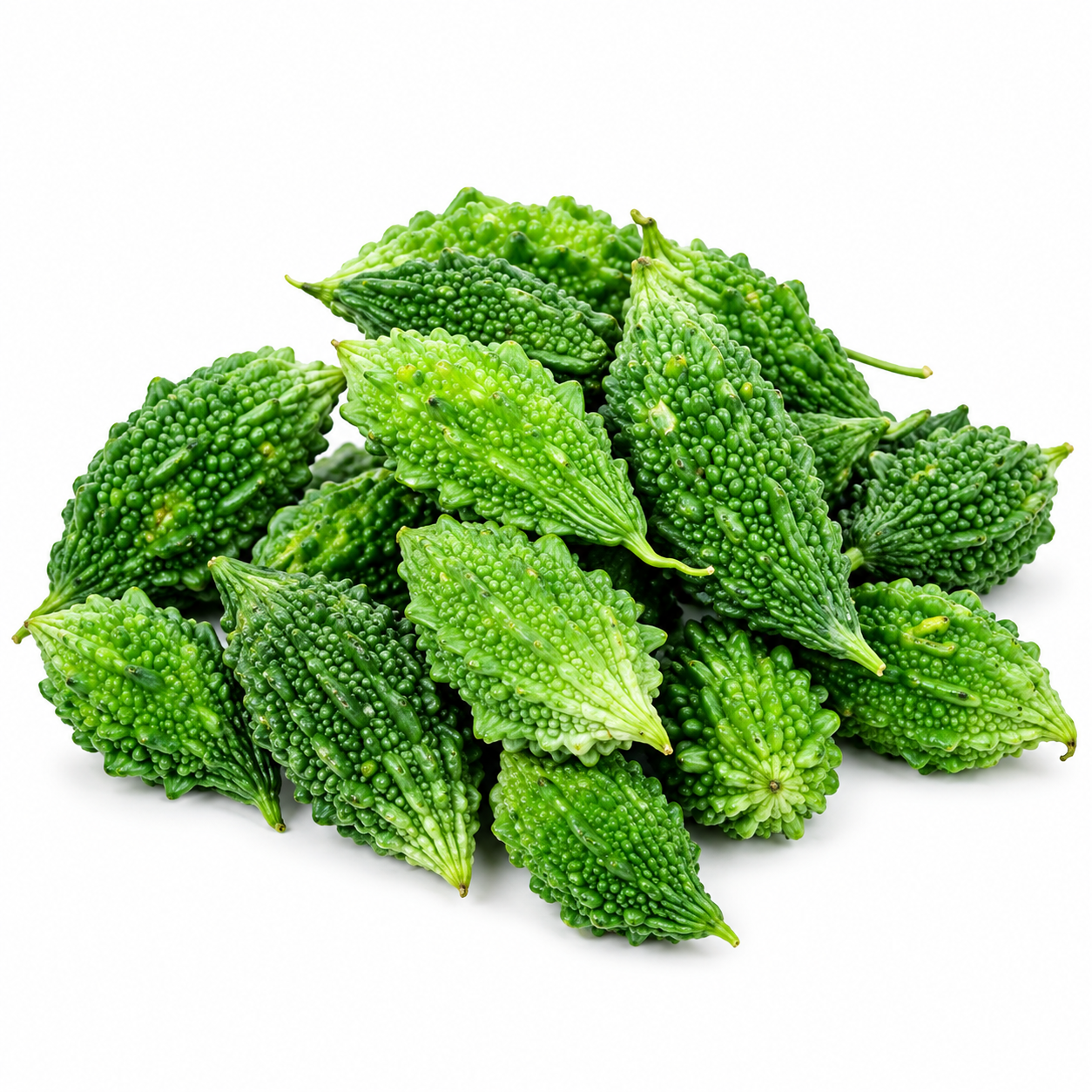 Bitter Gourd Small F1 Hybrid with compact green textured karela fruits growing on climbing vines – summer vegetable seeds for kitchen gardens trellises and grow bags Pakistan