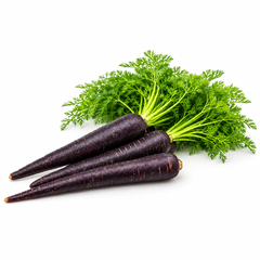 Black carrot Kali Gajar with deep purple-black roots and green tops – winter carrot seeds for kanji and home gardening in Pakistan