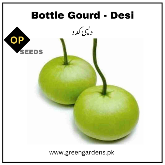 Bottle Gourd Seeds (Desi Kadu) {SUMMER} دیسی کدو گول