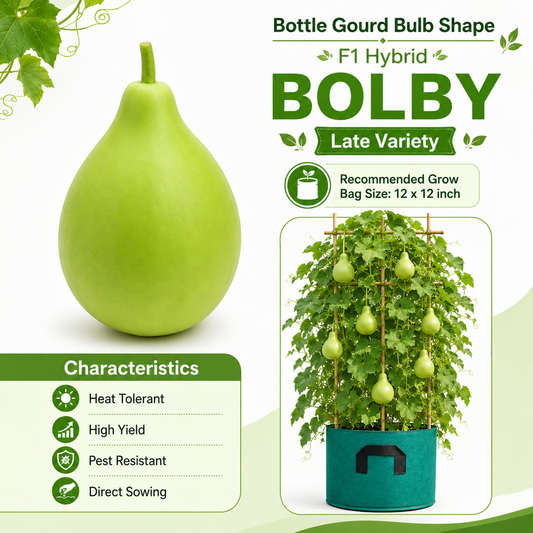 Bottle Gourd Bulb Shape, F1 Hybrid  BOLBY – Summer Late Variety