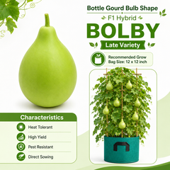 Bottle Gourd Bulb Shape, F1 Hybrid  BOLBY – Summer Late Variety