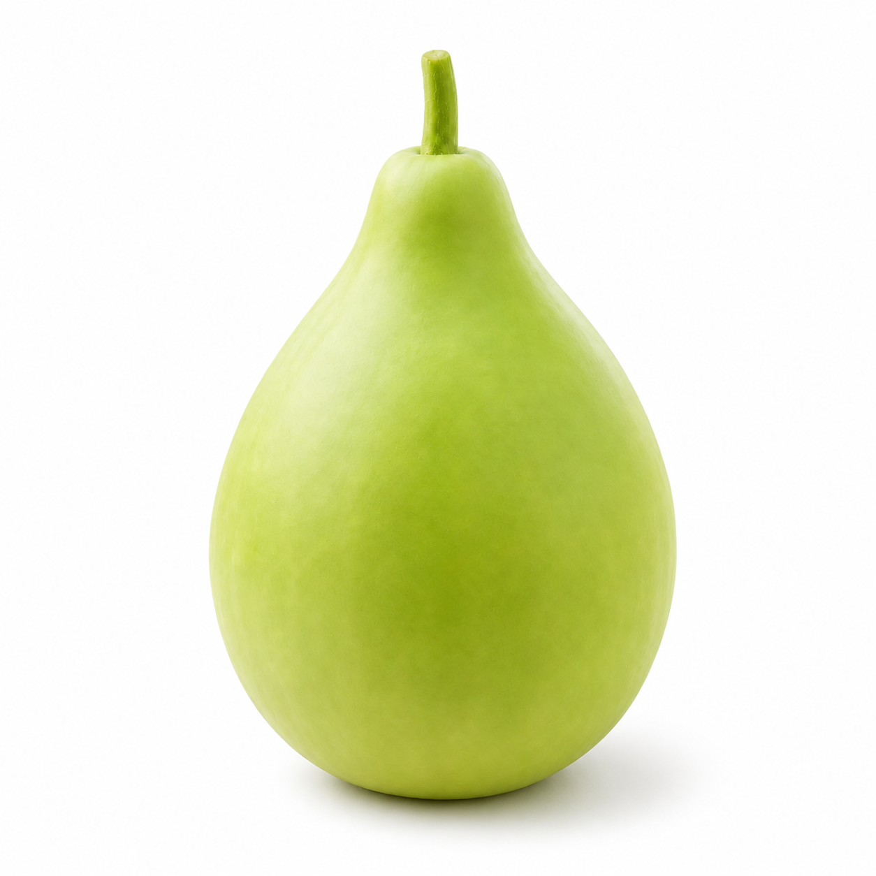 BOLBY F1 Hybrid bottle gourd vine with fresh green bulb-shaped lauki fruits – summer late vegetable seeds for home gardening in Pakistan