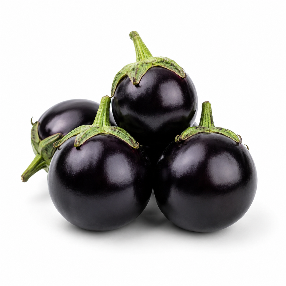 Round Purple F1 Hybrid brinjal with smooth glossy purple fruits – eggplant seeds for home gardening in Pakistan