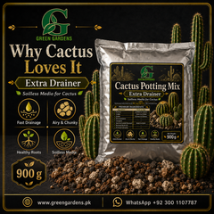 Cactus Potting Mix – Extra Drainer | Soilless Media for Cactus – 900 g
