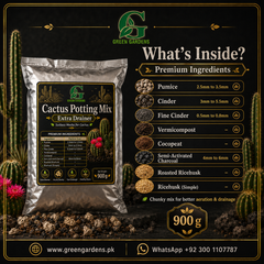 Cactus Potting Mix – Extra Drainer | Soilless Media for Cactus – 900 g