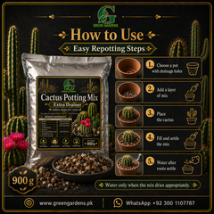 Cactus Potting Mix – Extra Drainer | Soilless Media for Cactus – 900 g