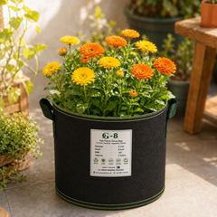 Calendula Mix Colours plant growing in GREEN GARDENS G-8 felt grow bag