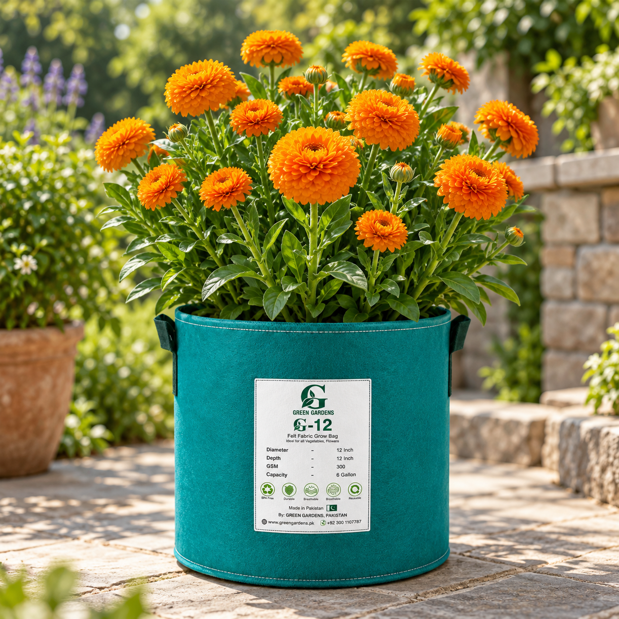 Calendula Double Ball Deep Orange Calendula officinalis with large fully double rich deep orange flowers – winter flower seeds for pots borders beds and grow bags in Pakistan