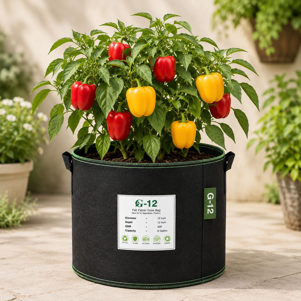Red and Yellow Capsicum Seeds Mix for growing sweet peppers in home gardens and grow bags in Pakistan