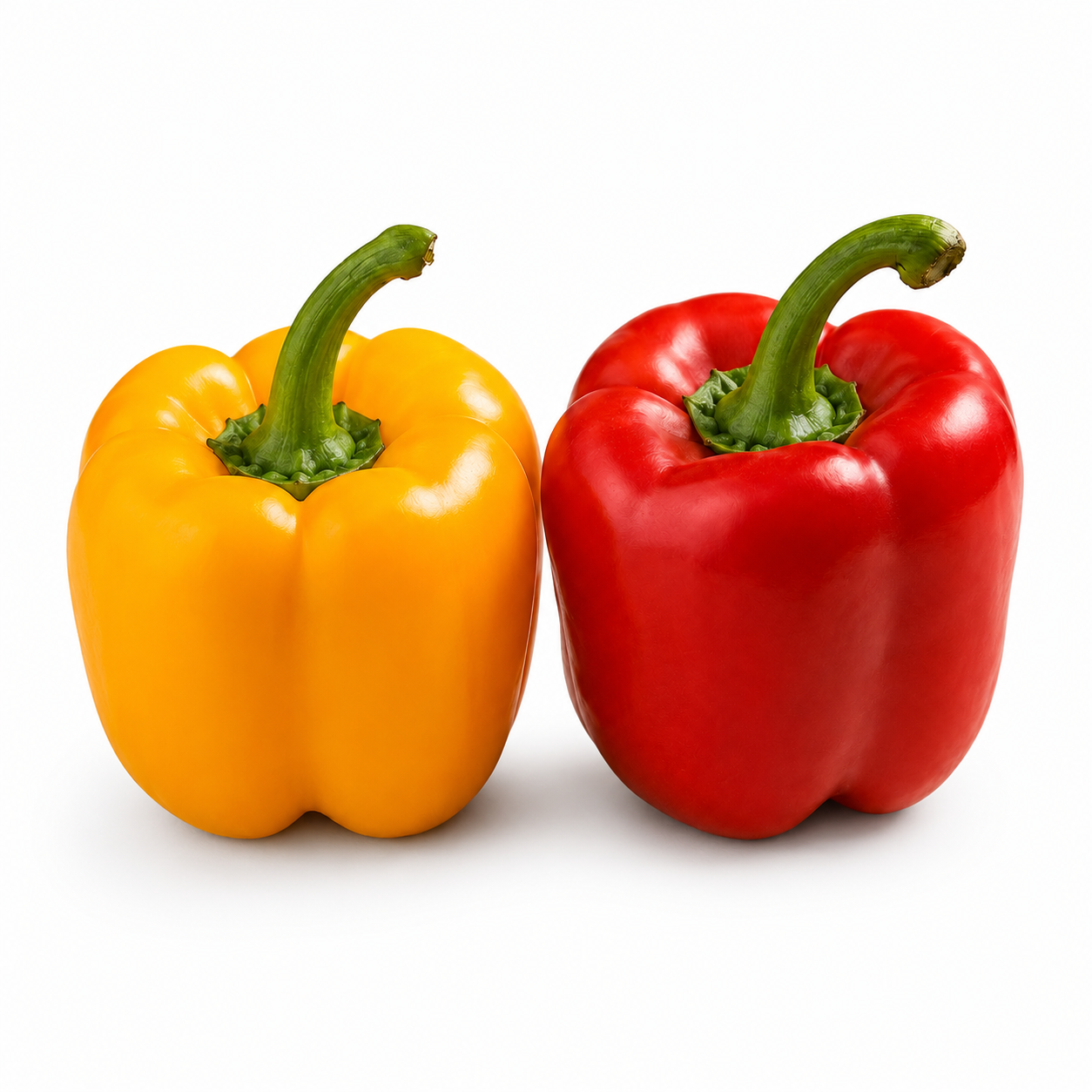 Capsicum Seeds Red & Yellow - Mix  {WINTER/SUMMER} شملہ مرچ لال