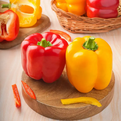 Capsicum Seeds Red & Yellow - Mix (20 Seeds) {WINTER} شملہ مرچ لال