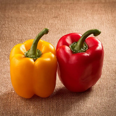 Capsicum Seeds Red & Yellow - Mix (20 Seeds) {WINTER} شملہ مرچ لال