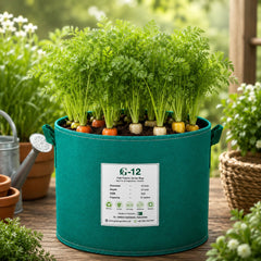 Carrot 3 Colour Mix Seeds showing orange white and yellow carrots – Franchi winter vegetable seeds Pakistan