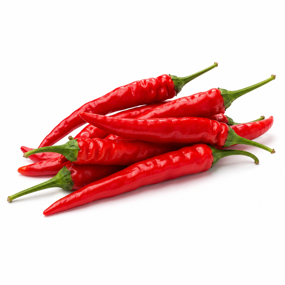 Cayenne pepper plant with long slender red hot chillies – chilli seeds for home gardening in Pakistan