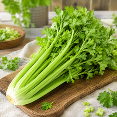 Celery F1 Hybrid Seeds with fresh green celery stalks and aromatic leaves in Pakistan