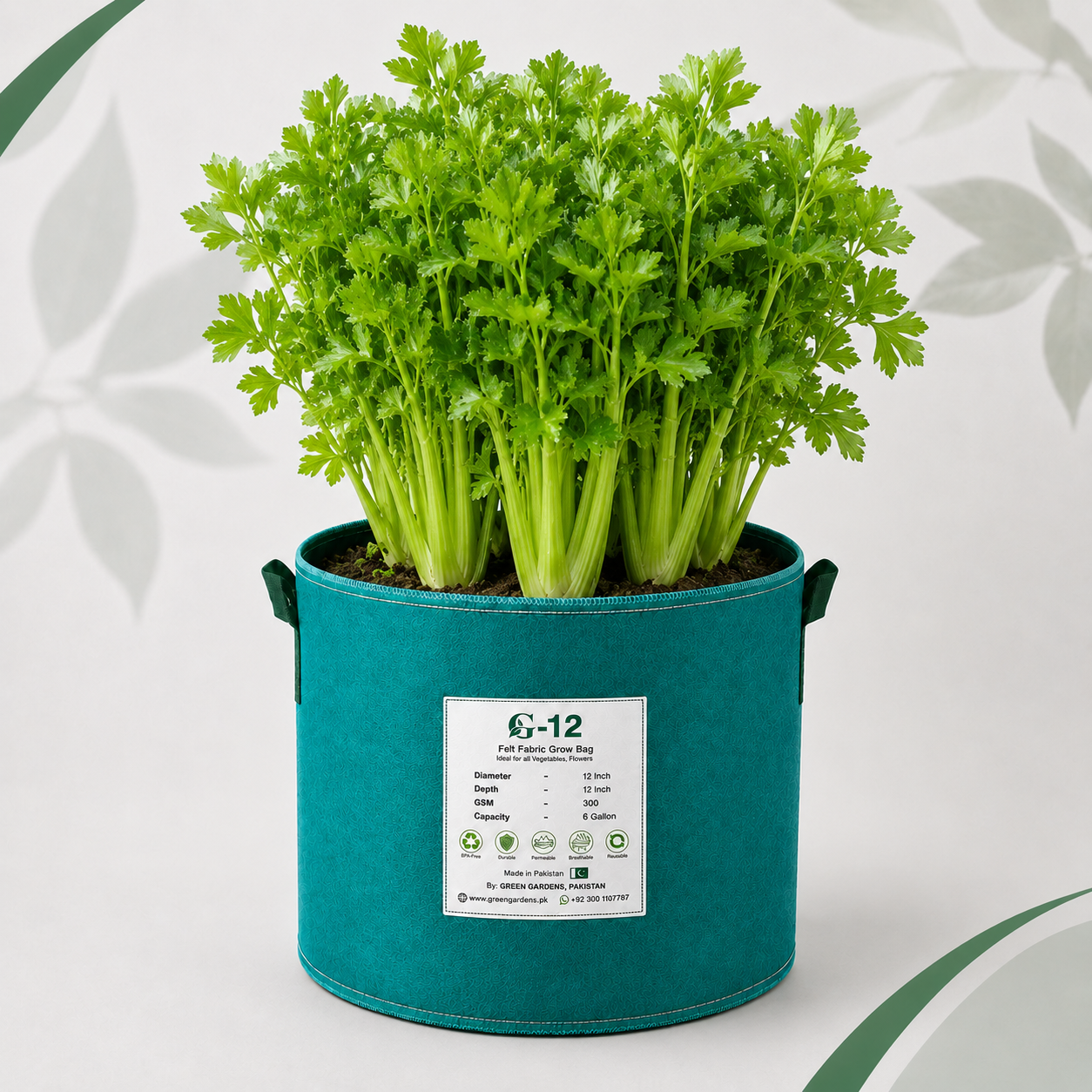 Celery F1 Hybrid Seeds with fresh green celery stalks and aromatic leaves in Pakistan