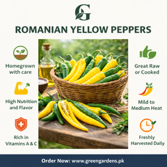 Sweet Pepper Romanian Giallo Seeds (Premium Yellow Sweet Pepper)