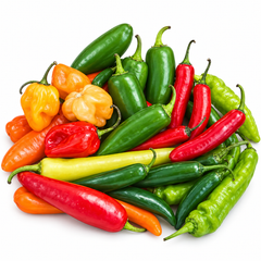 Hot Mixed Chilli Pepper varieties featuring colourful green red yellow orange and purple hot chillies in assorted shapes and sizes – summer and winter chilli seeds Pakistan