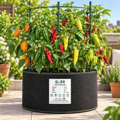 Hot Mixed Chilli Pepper varieties featuring colourful green red yellow orange and purple hot chillies in assorted shapes and sizes – summer and winter chilli seeds Pakistan